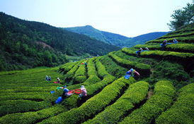 從北京出發(fā)，探索世界 一份出境旅行指南
